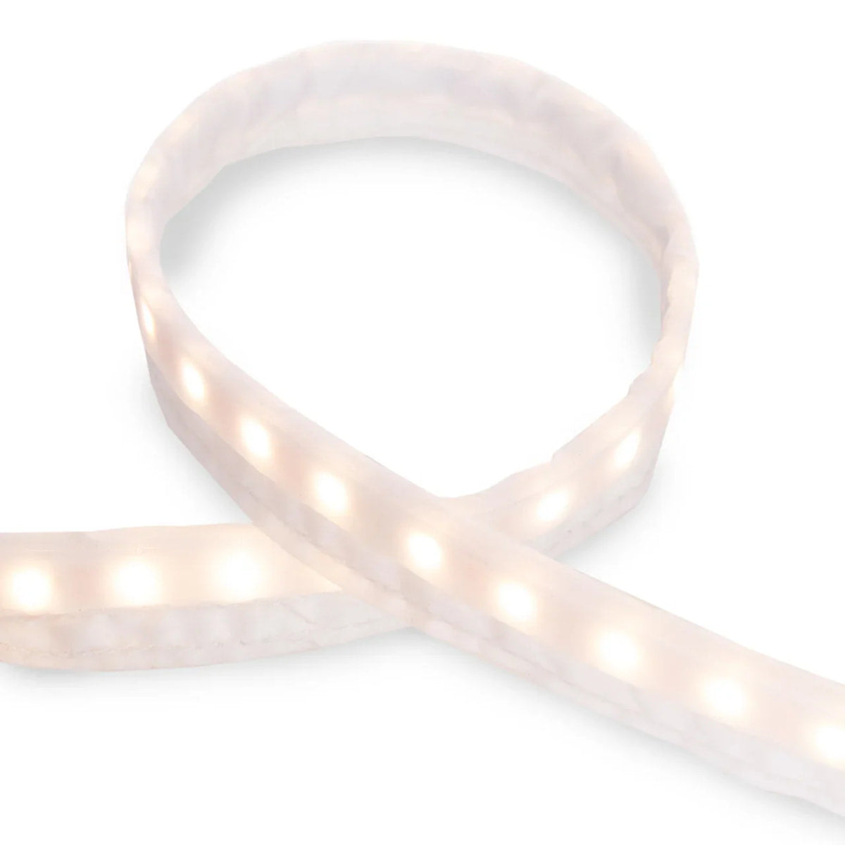 Freedom Family 4 LED Light